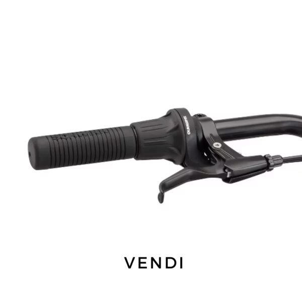 Schwinn Ranger 26" - Adult Mountain Bike